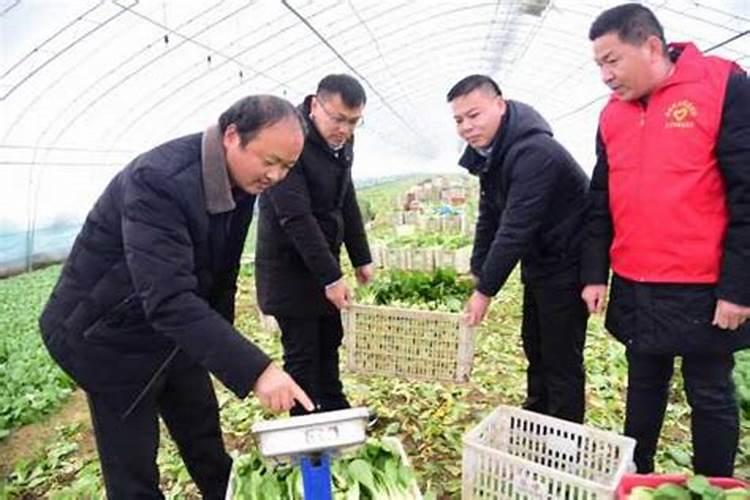 菜场里的蔬菜真是琳琅满目为中心写一段话