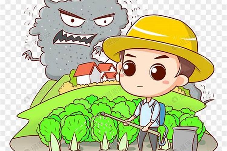 冬瓜高产施肥的正确方法(冬瓜怎么管理施肥才能丰收)
