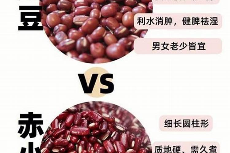 赤小豆为什么不开花