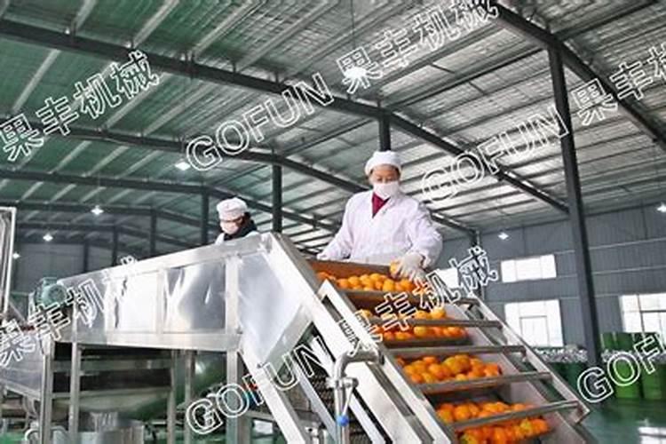 长果桑盆栽方法 养护事项有哪些