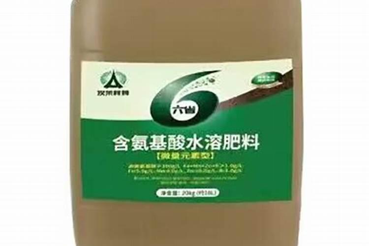 嘉兴粽子为什么好吃？嘉兴粽子为什么那么有名
