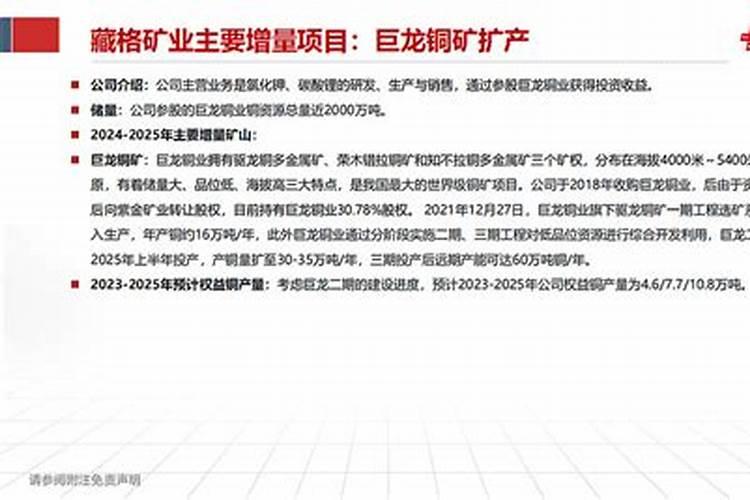 主要的锂矿龙头股有哪些股票？