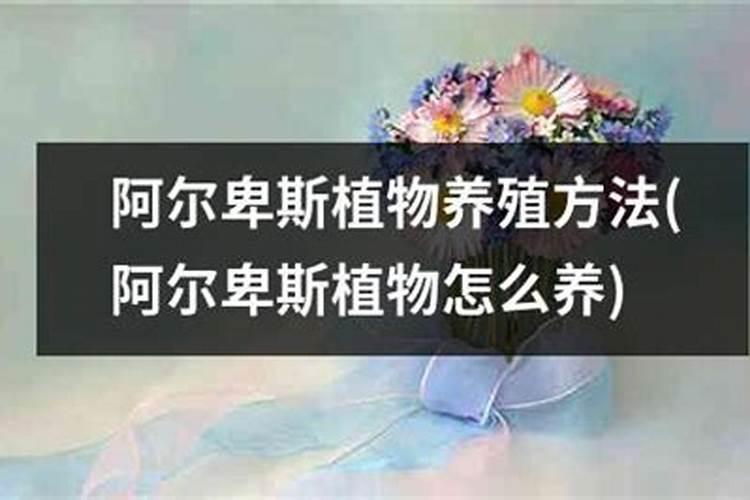 二铵是磷肥还是氮肥