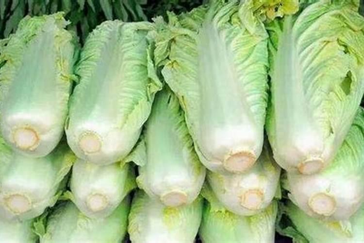 白菜叶面肥的使用方法