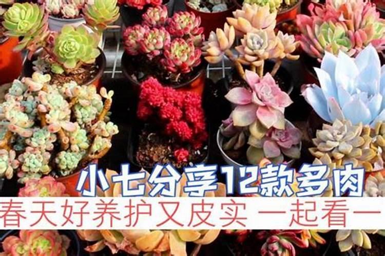 什么时候适合使用土壤封闭除草？