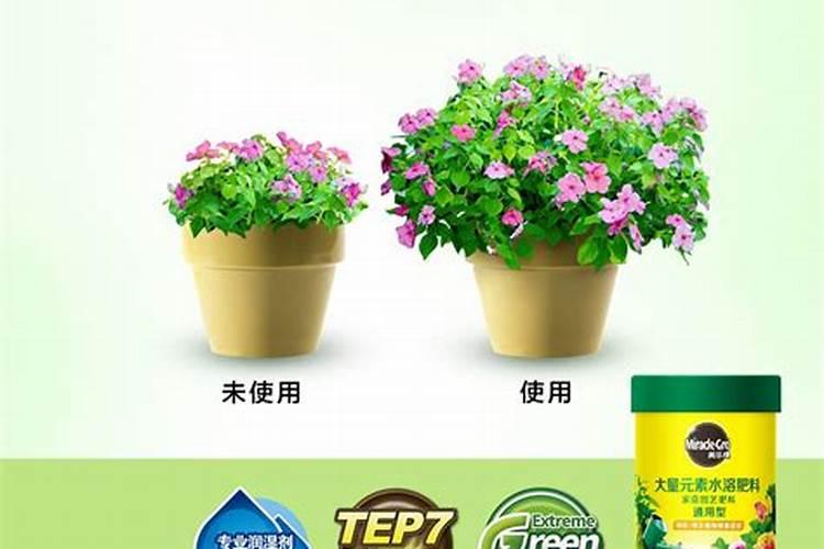广东裕润智慧农业科技有限公司怎么样？