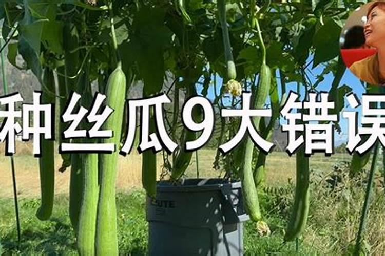 氮肥有哪些品种