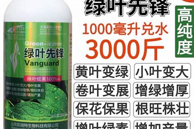 什么是叶面肥料 叶面肥料的作用原理是什么