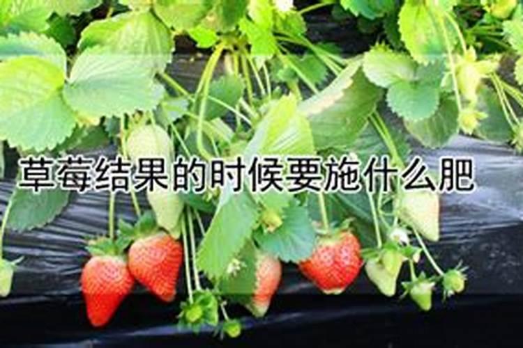 出门打雷下雨有什么好兆头出门打雷下雨有哪些好兆头