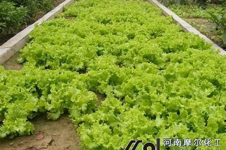 蓝色庄园增效氮肥简介