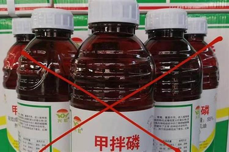 兰草该怎么养,兰草养殖方法和注意事项