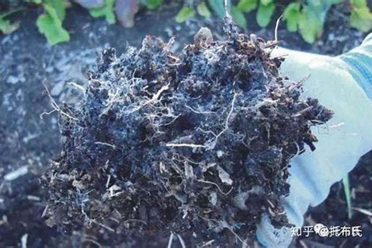 请教各位同学,腐植酸如果用量过大对土壤的负面影响吗？