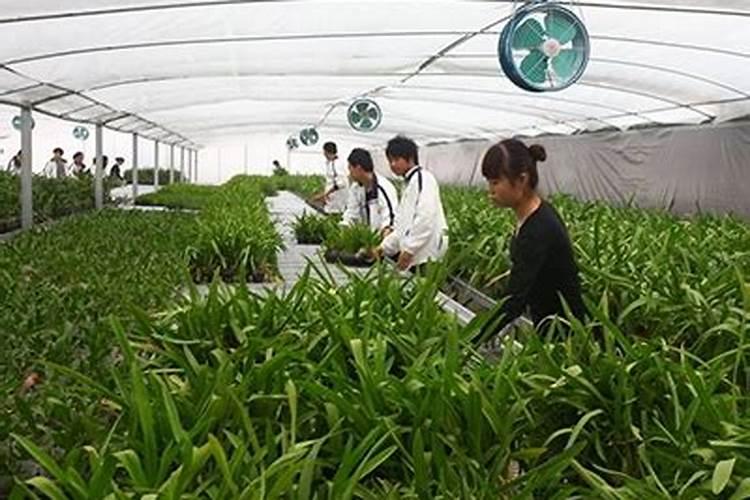 佛山盈辉农药质量怎么样