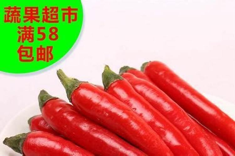 指天椒种植技术与管理