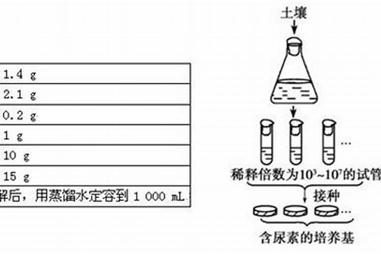 玉米秸秆还田为什么要试用尿素？具体亩用量多少？