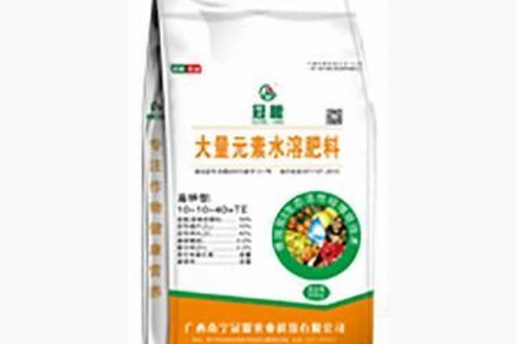 柑橘三月份如何管理