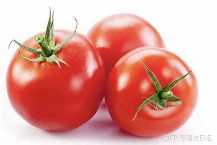 西红柿定植后几天打锌肥好？