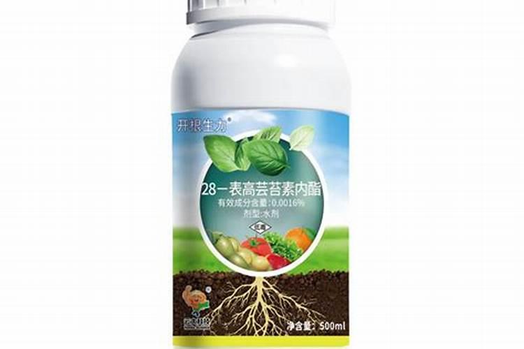 芸苔素内酯如何兑水