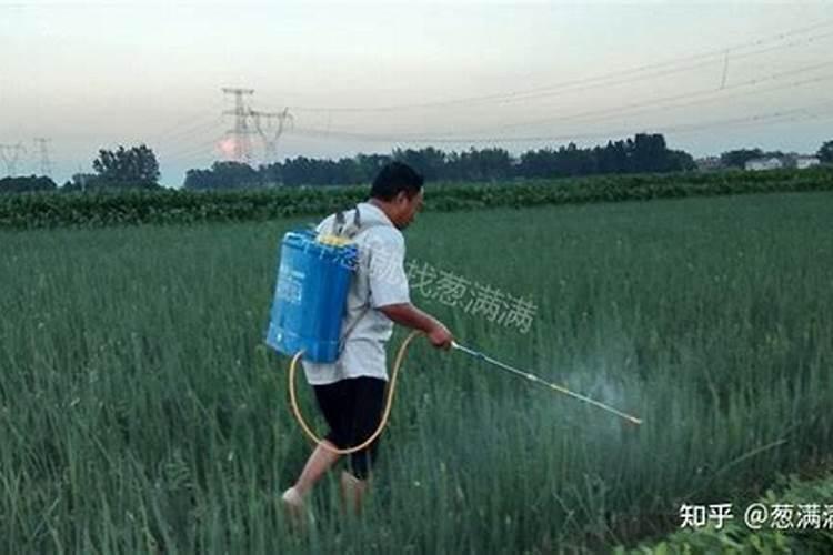 大豆叶面肥早晨喷好还是晚上喷好呢