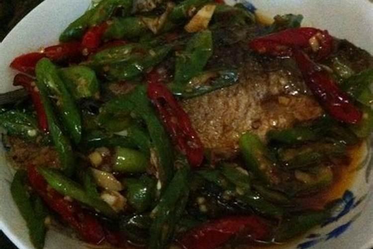 什么是鱼蛋白肥料,鱼蛋白肥料作用及使用方法