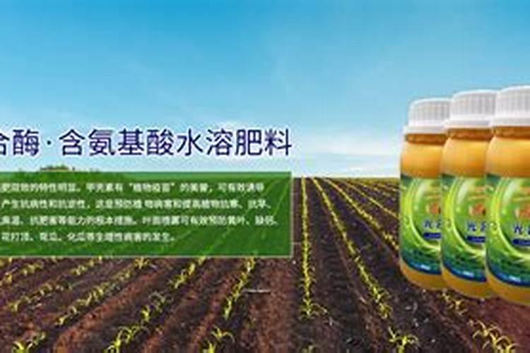 欢能肥厂家是正规厂吗