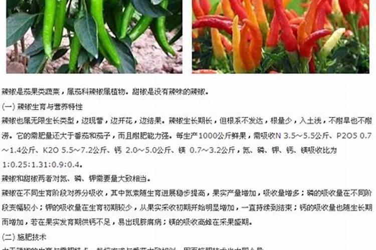 让辣椒多坐果的配方 用什么肥料比较好