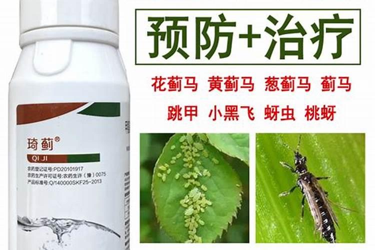 红糖加醋做叶面肥