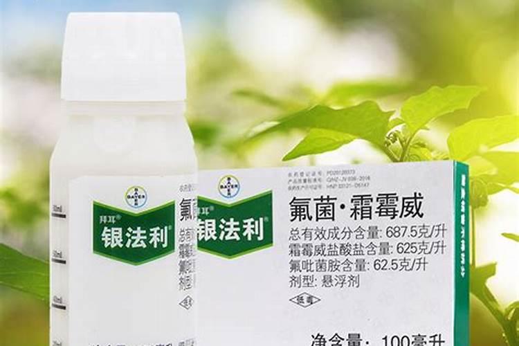 辣椒疫病特效药有哪几种