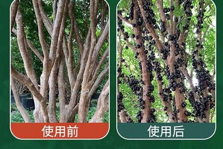 马德海重要事迹