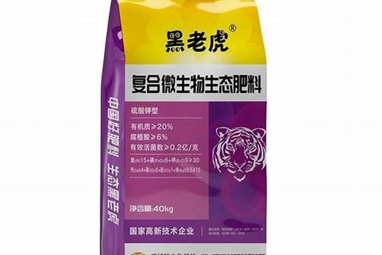 什么时候可以种番薯