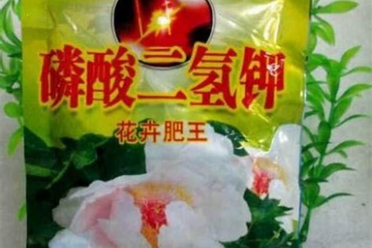 太阳花施什么肥比较好,主要以磷肥为主
