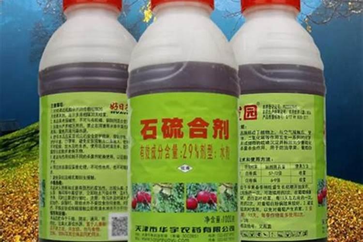 油菜施什么样的硼肥最好