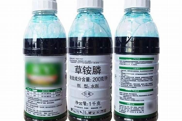 草胺燐除草剂对柑橘有没有危害