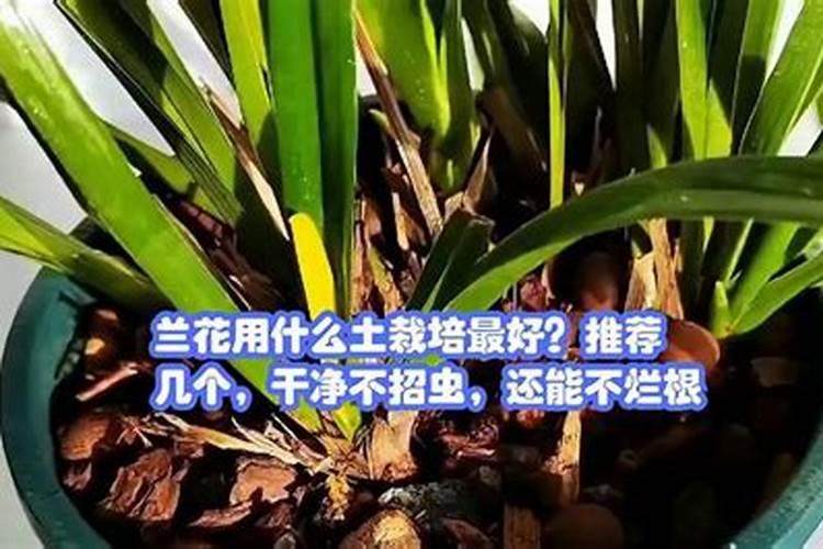 黄腐酸钾沾到成品葱上多久才能去掉
