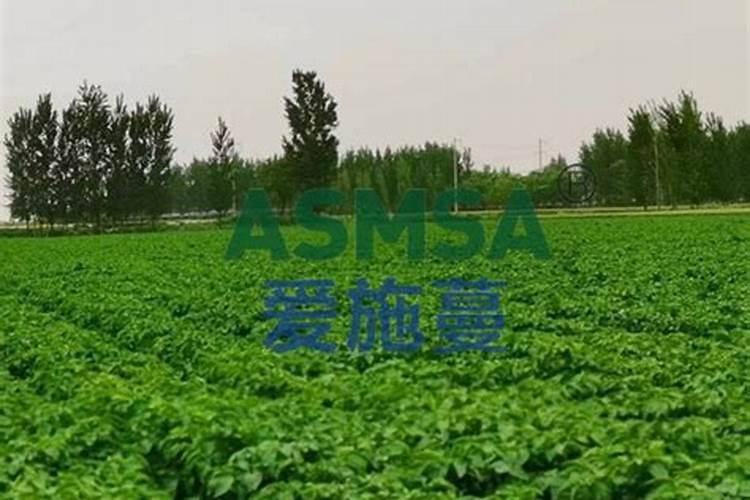 除完草几天可以用营养药呢？