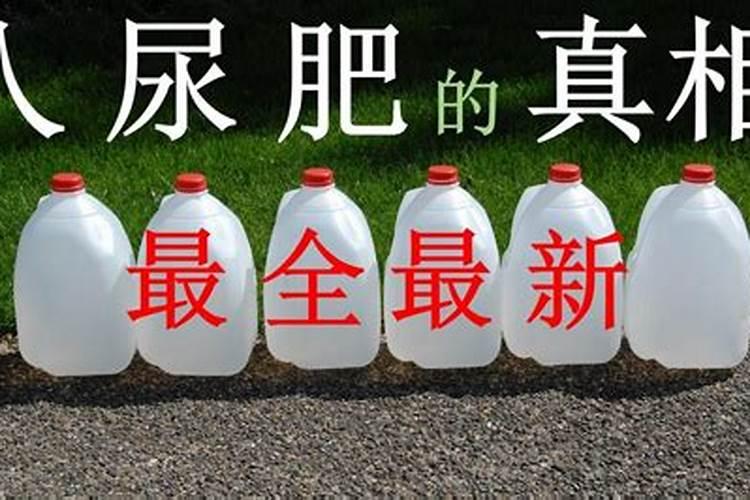 尿素当叶面肥吗？
