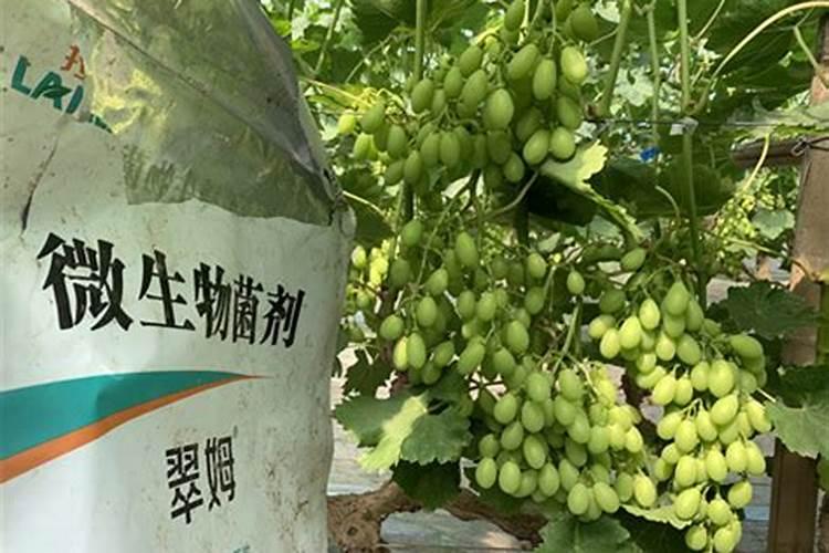 河南省昊利达化工有限公司公司简介