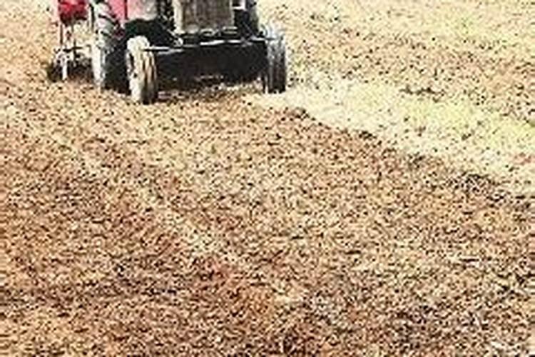 河北施可丰生物科技有限公司怎么样？