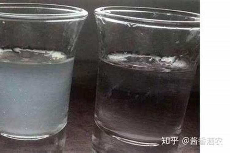 养碗莲的水为什么总浑,长期没换水导致水质污染