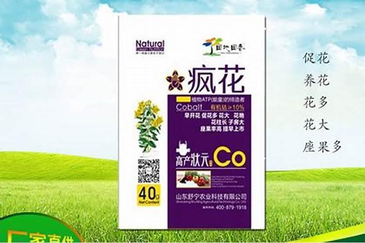 柑橘专用促花叶面肥柑橘促花用什么肥柑橘促花肥批发