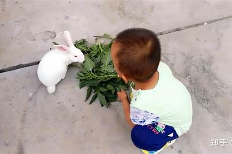 种植萝卜最好采用什么施肥？