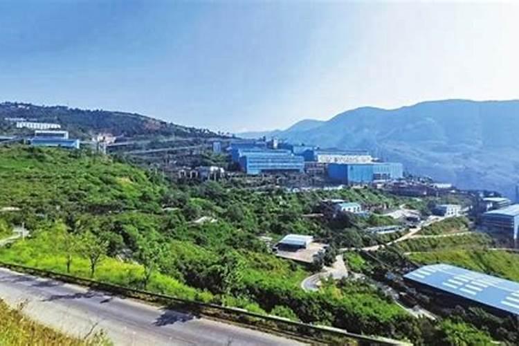 白马吊灯花多肉植物生长习性施肥的知识点有哪些