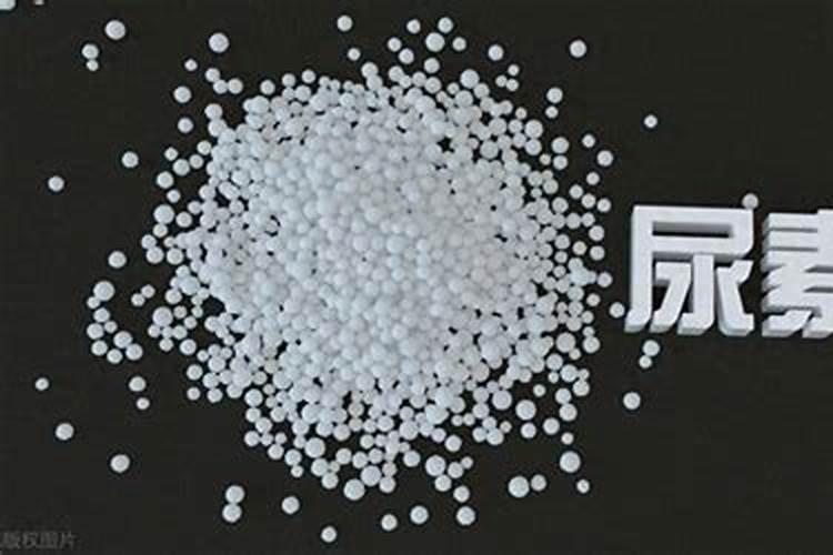 提高氮肥利用率的途径有哪些,氮肥属于哪种肥料