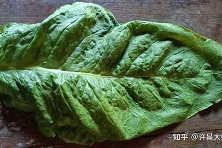 烤烟能同时用磷酸二氢钾和腈菌唑吗