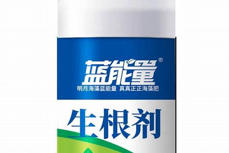 黄瓜栽苗之时要用什么鲜为人知的肥料