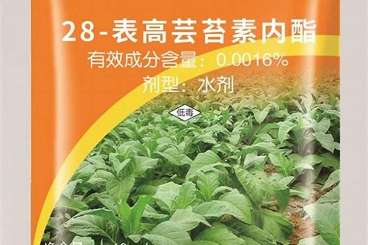 老师好,山药落青叶是啥毛病,如何用药呢？