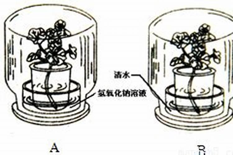叶面肥与农药混合的注意事项与农药混合的禁忌,注意些什么？