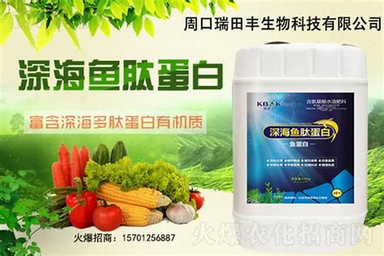 玉米要施肥几次