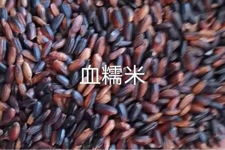 谷类包括哪些粮食