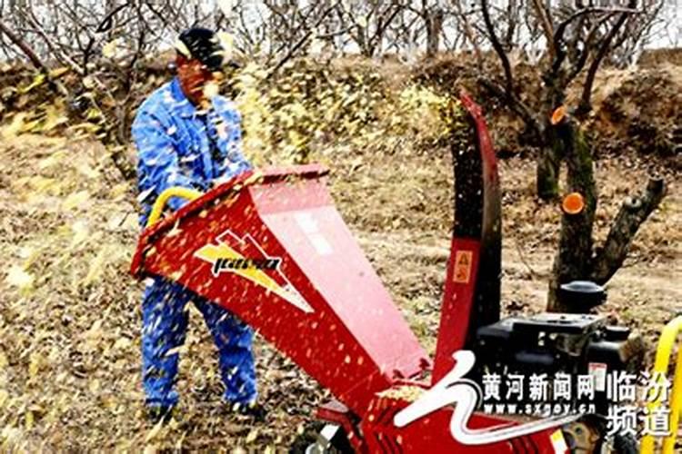寒兰和春兰还有蕙兰怎么区别
